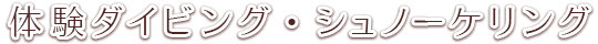 体験ダイビング　シュノーケリング