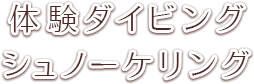 体験ダイビング・シュノーケリング